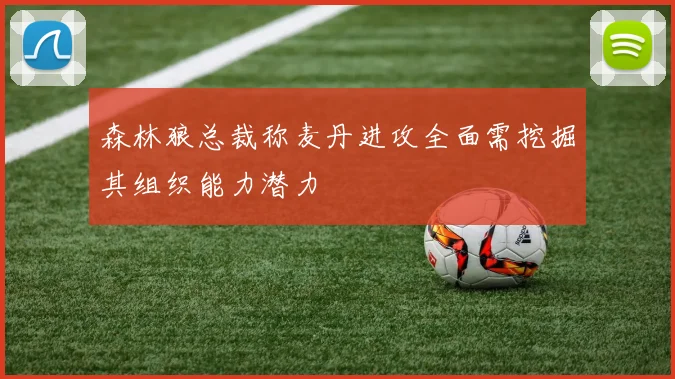 森林狼总裁称麦丹进攻全面需挖掘其组织能力潜力